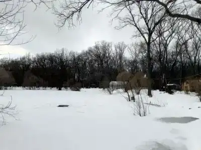Ласточка - 99