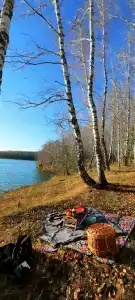 Берёзка - 14