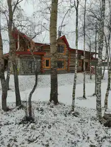 Черные камни - 60