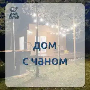 Дом Китов - 24