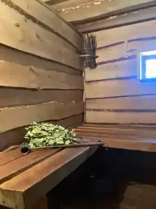 Пенеснарь - 45