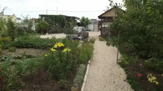 Дольче Вита - 36