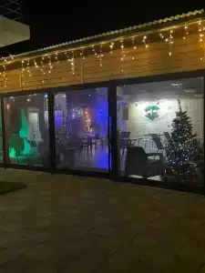 Зеленый слон - 18