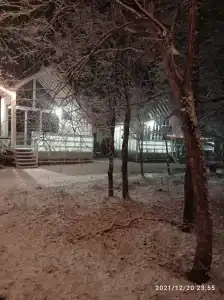 Лесной уголок - 23