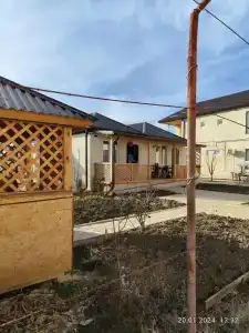 МИКА ЦЕНТР - 31