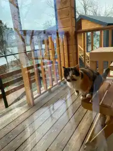 Амбассадор - 21