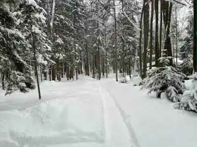 Чайка - 5