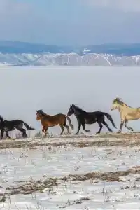 Dacha BaikalEco - 45