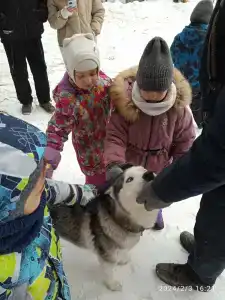 Кудряшовская заимка - 19