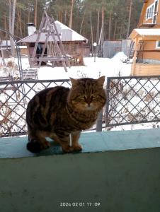 Усадьба Бычковых - 43