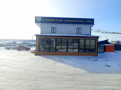 Старший сын - 15