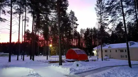 Селычка - 33
