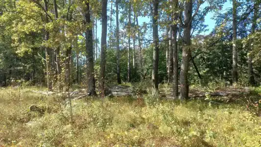 Улыбышево - 92