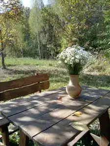 Мультиферма - 42