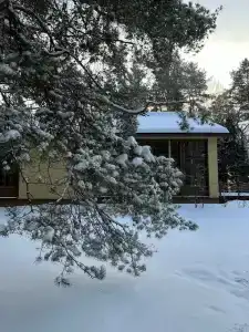 Времена Года - 80