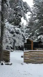 Дом для отпуска на Лесной - 6