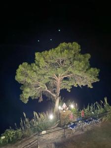 Aska Bayview Resort - All Inclusive - 64