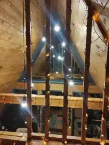 Ильинка лес - 80