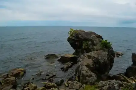Усадьба Добрыня - 95