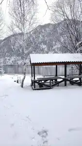 Кибик - 56