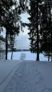 рыбака - 9
