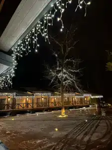 Шале Гринвуд - 32