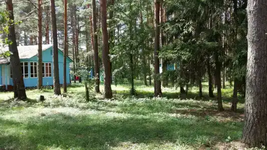 Волна - 10