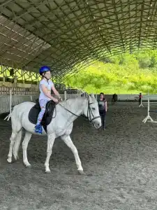 Кск Созвездие Sochi - 38