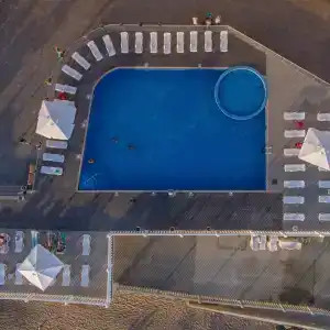 Орхидея - 16