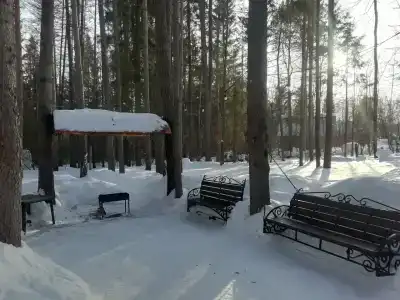 СмородинаХаус - 86