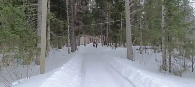 Бабонегово - 16
