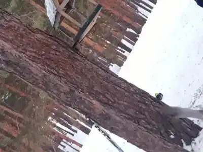 Ясная Поляна - 34