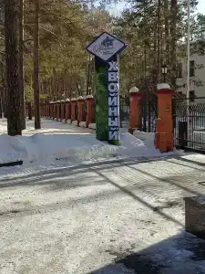 Хвойный - 60
