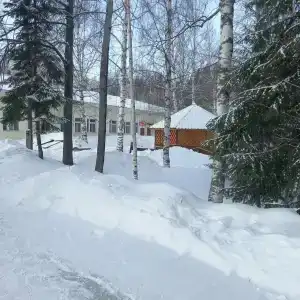 Сокол - 29