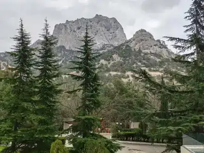 Новый Свет - 65