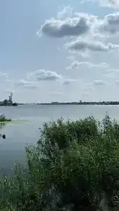 Заря - 44