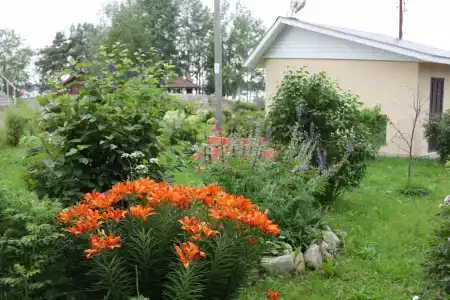 Длинный берег - 19