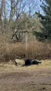 Наусть - 14