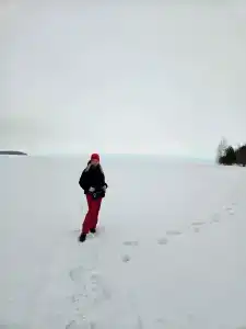 Коди Ярви - 13