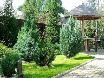 Метелица - 47