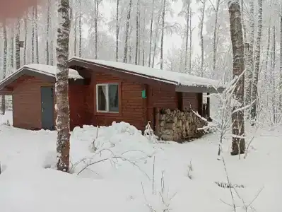 Лесная дача - 39