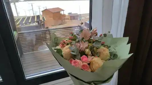 Эльдорадо - 77