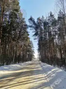 Алатырь - 99