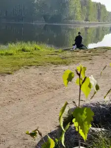 Красный Бор - 93