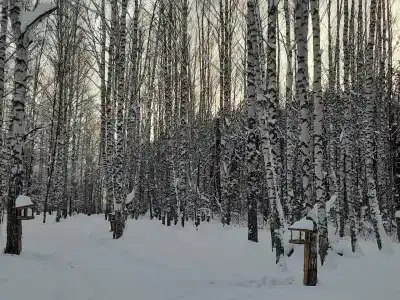Жемчужина - 24