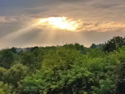 Подворье - 59