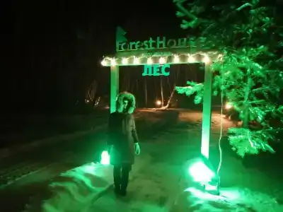 ForestHouse Лесной домик - 35
