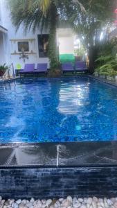 Swiss Paradise Boutique Villa - 7