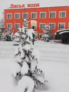 Лисья Нора - 80