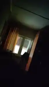 Фишт - 1